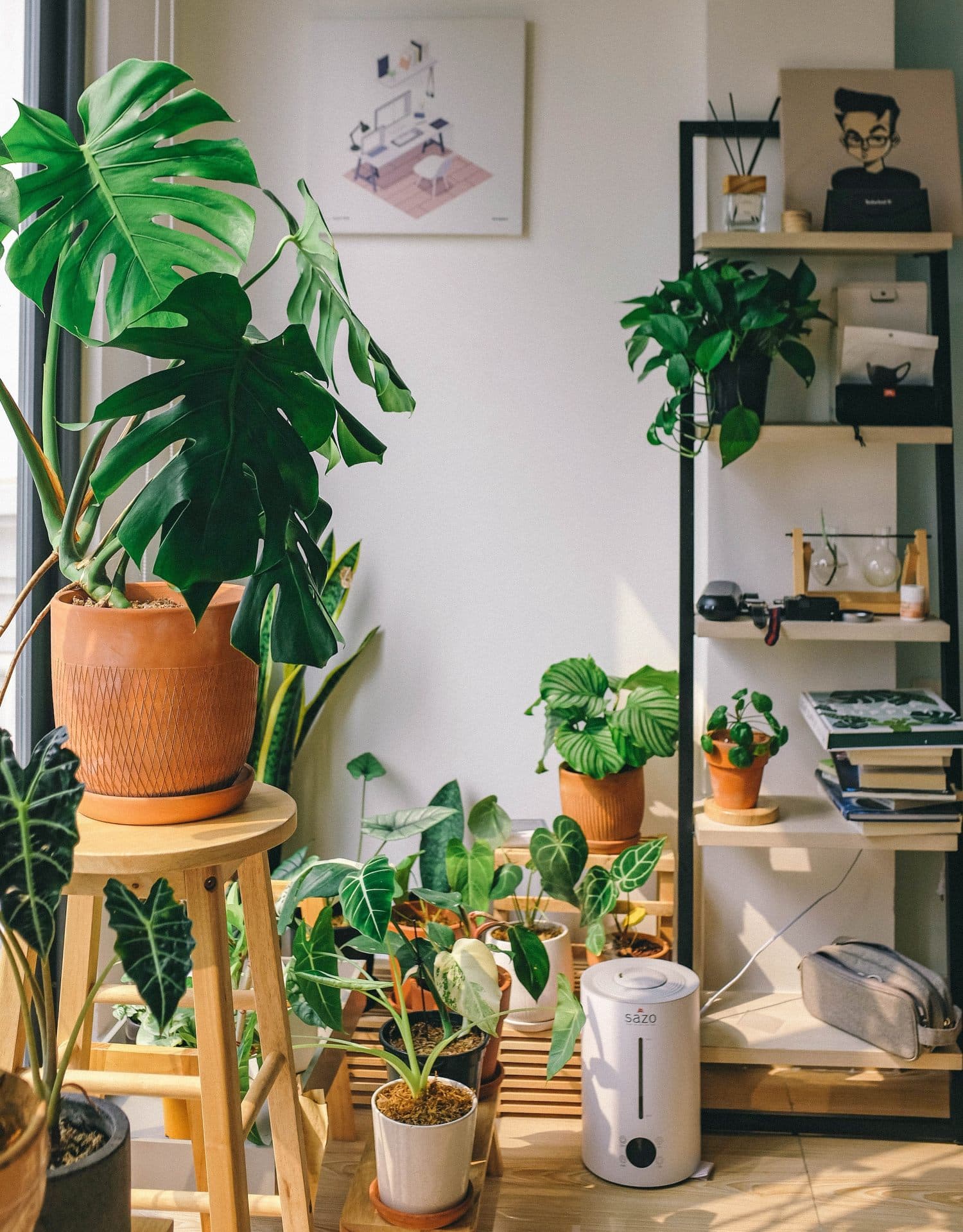 A room filled with various plants and a shelf holding more greenery.